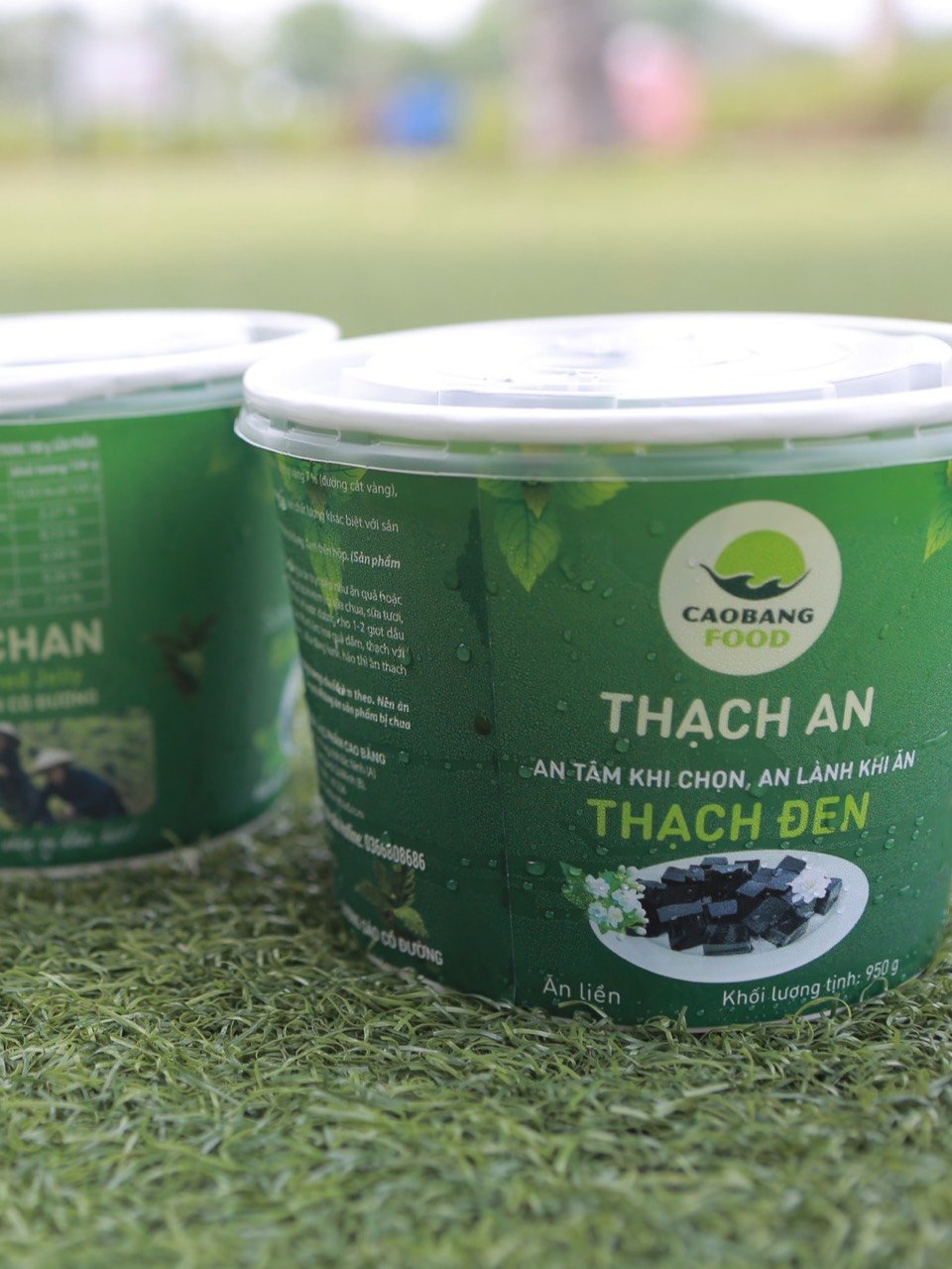 Thạch cao bằng An 480g