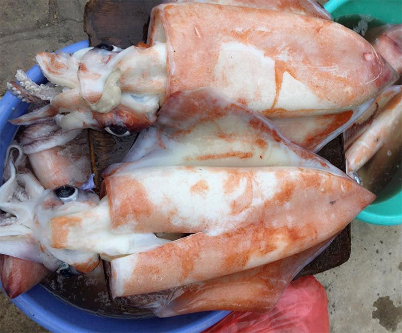 Mực lá Phú Qúy 500-700 - Kaifood