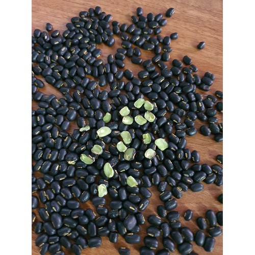 Đậu Đen xanh lòng 130g - Hikari Exim