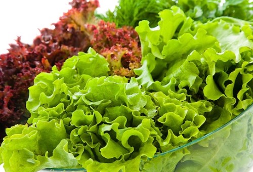 Xà Lách Romaine Đà Lạt - Kg