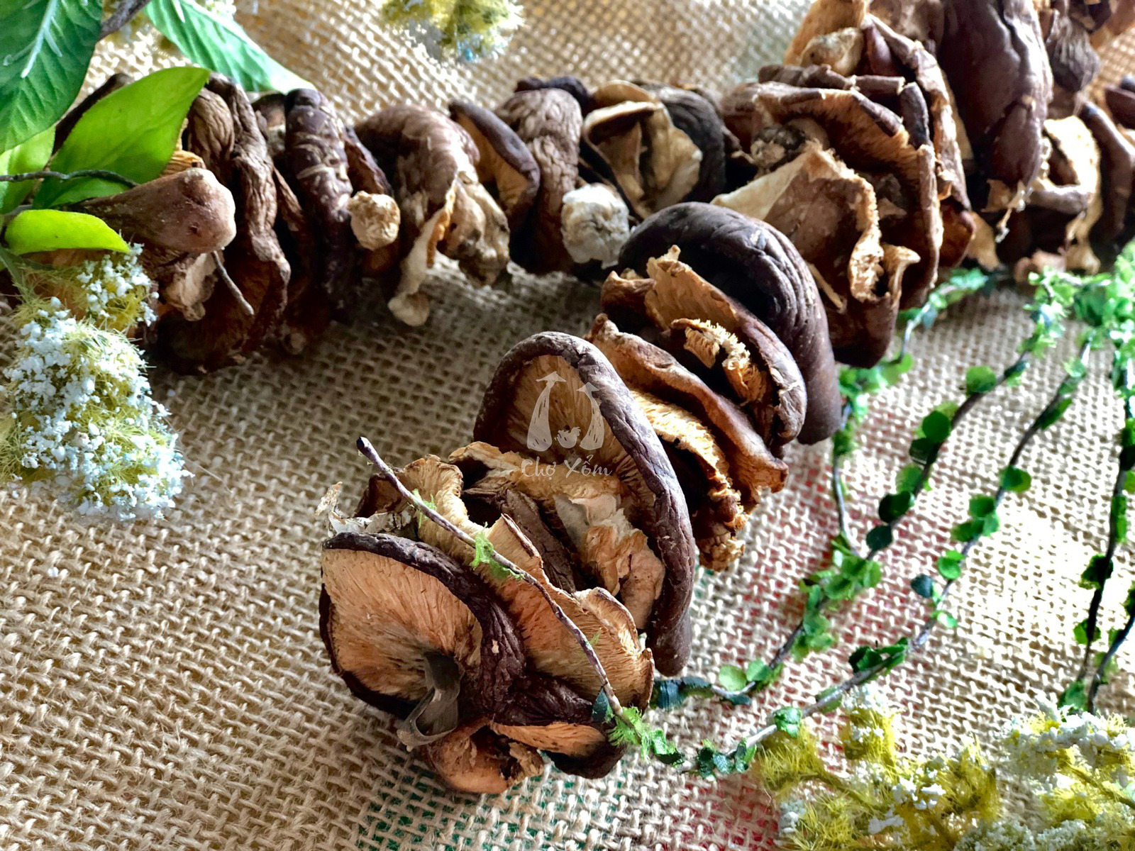 Nấm hương rừng gói 50g