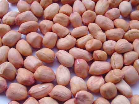 Lạc đỏ gói200g - Hikari Exim