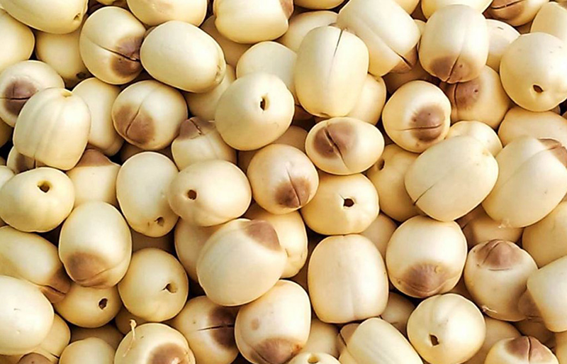 Hạt Sen gói 150g - Hikari Exim