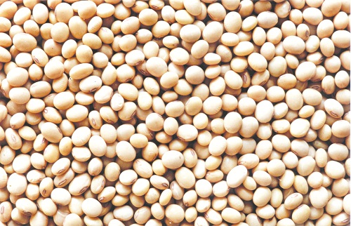 Đậu tương gói 200gr