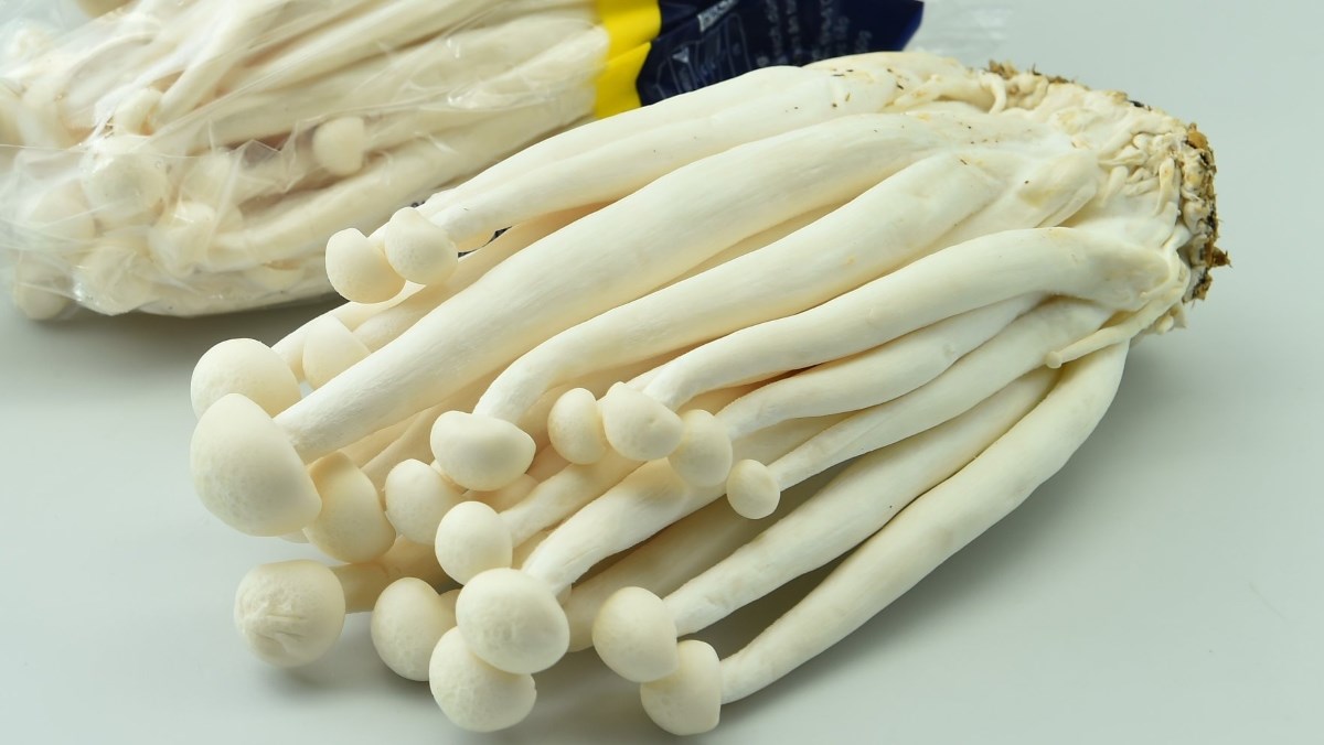 Nấm hải sản - Vân Nội (Kg)
