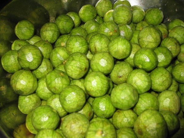 Sấu Hòa Bình cấp đông gói 300g