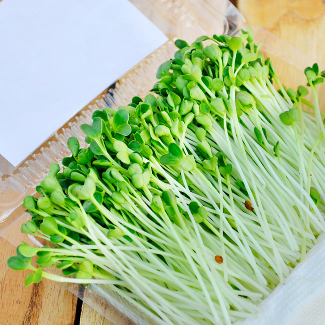 Cải mầm - Vân Nội hộp 100g