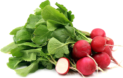 Củ cải đỏ Đà Lạt - Kg