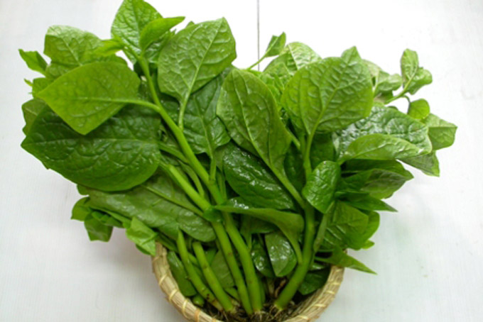 Rau mồng tơi  Mama food - Kg