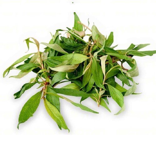 Rau Răm Mama food - Kg