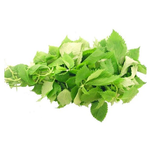 Rau kinh giới