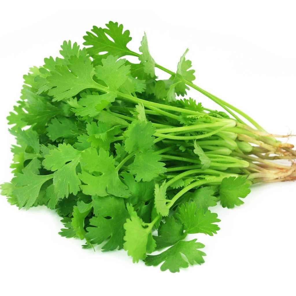 Rau Mùi ta 70g- Vân Nội