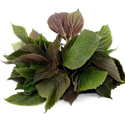 Rau Tía Tô 70g - Vân Nội