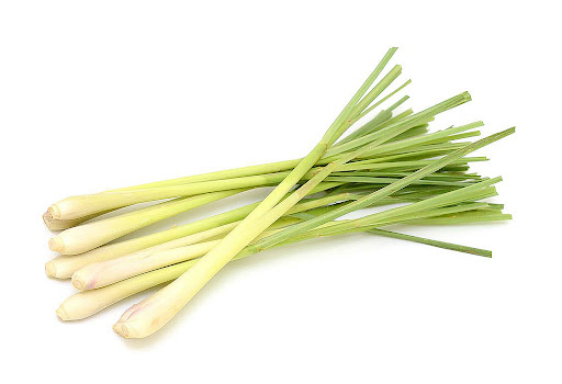 Củ Sả - Vân Nội (Kg)