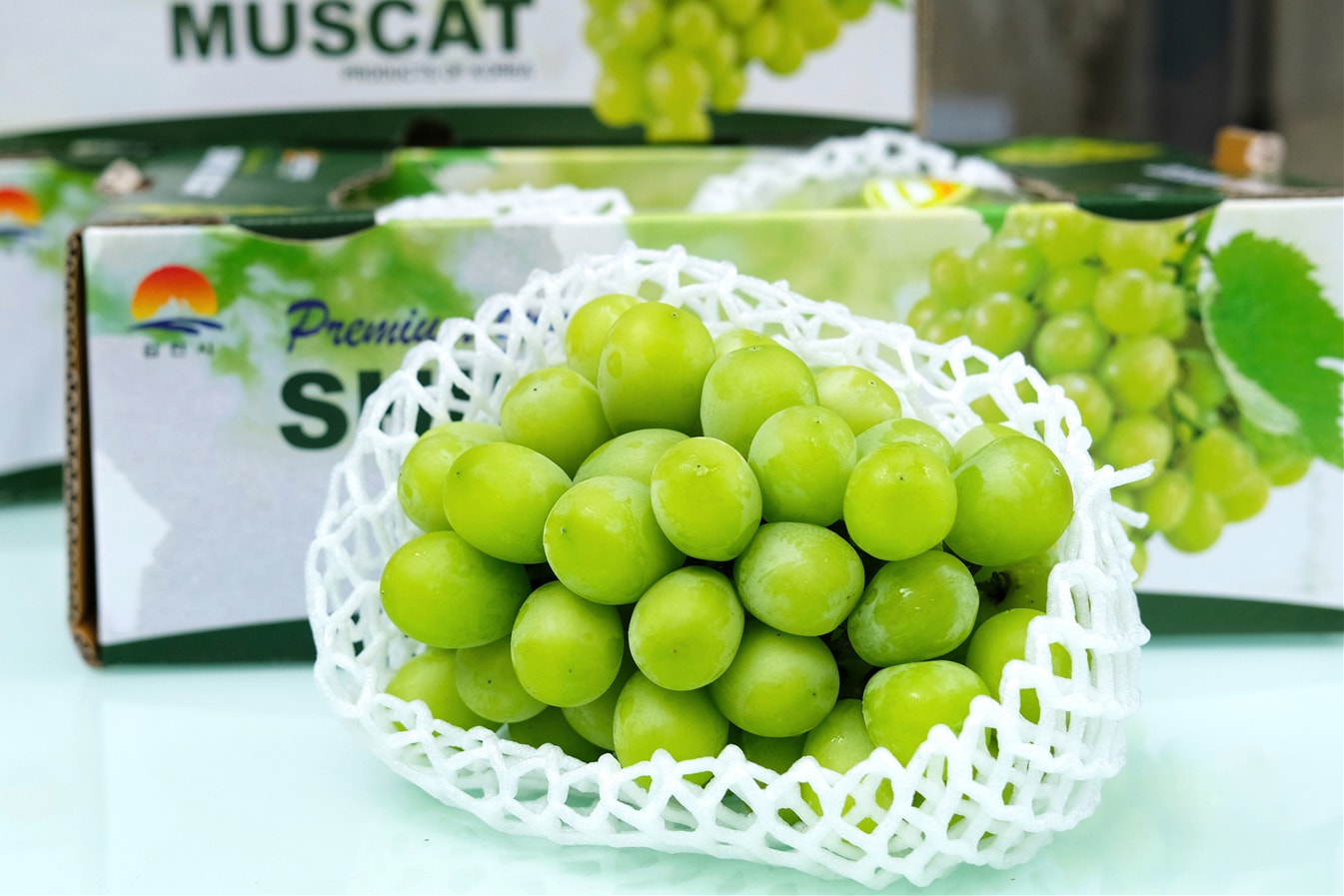 Nho sữa xanh sunfood