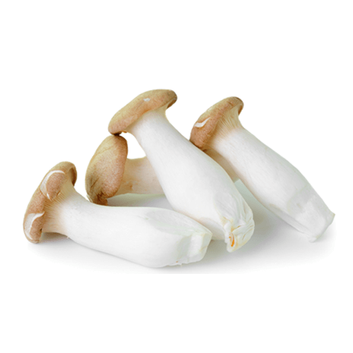 Nấm Đùi Gà - Vân Nội
