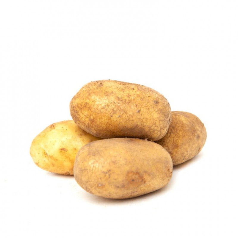 Củ Khoai Tây - Vân Nội