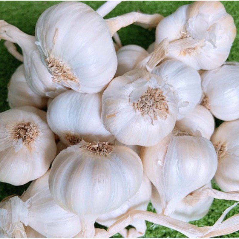Tỏi khô lý sơn VC